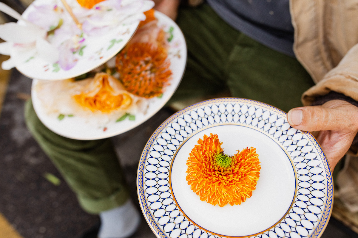 Wedgwood_Tastemaker_Spencer_8