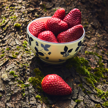 Wild Strawberry Inky Blue Rice Bowl 11cm