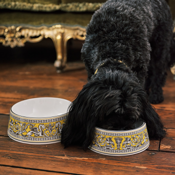 Wedgwood Florentine Pet Bowl 17cm Citron