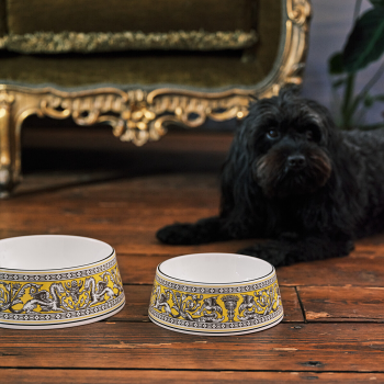 Wedgwood Florentine Pet Bowl 17cm Citron