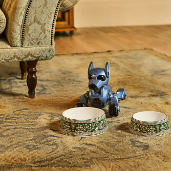 Wedgwood Florentine Pet Bowl 17cm Verde