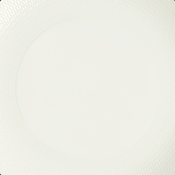 GIO Plate 28cm Blue Line details 2