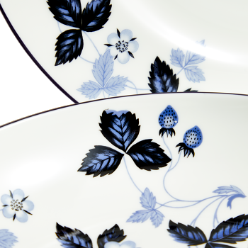 Wild Strawberry Inky Blue Plate and Bowl 4pc Set