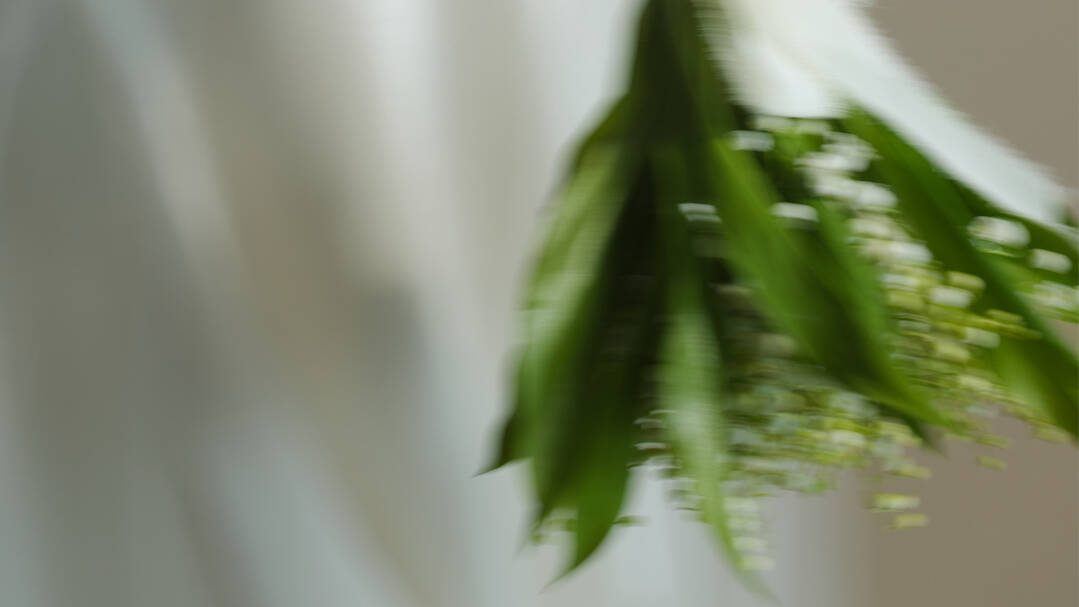 Anniversaries & Weddings