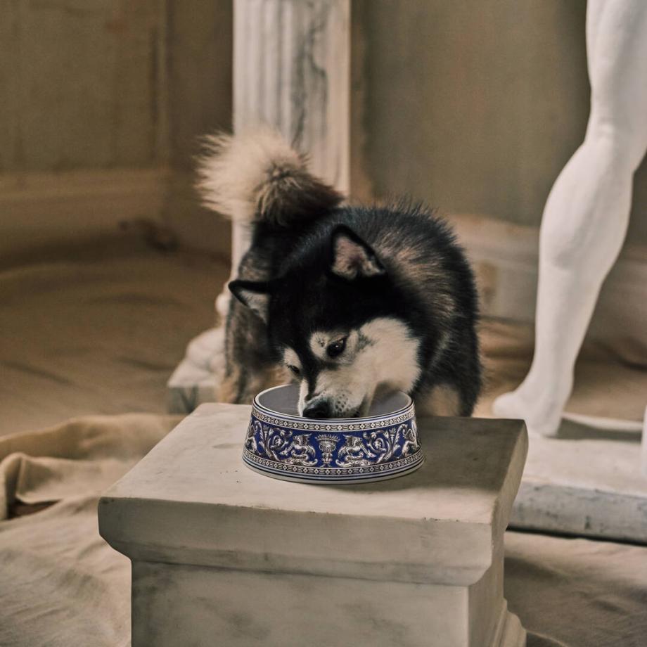 Wedgwood Florentine Marine