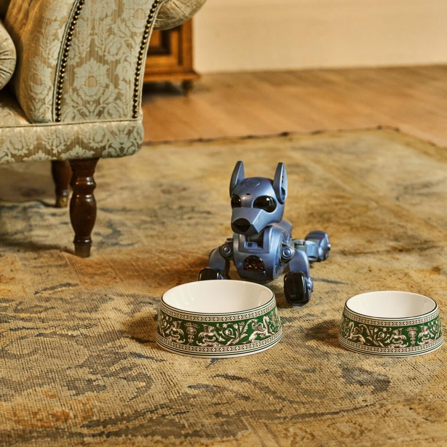 Wedgwood Florentine Pet Bowl 17cm Verde