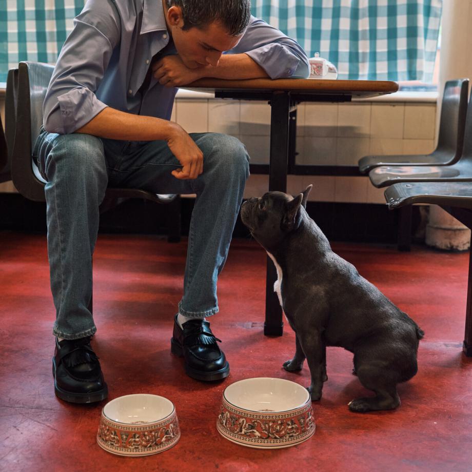 Wedgwood Florentine Pet Bowl 17cm Fuchsia