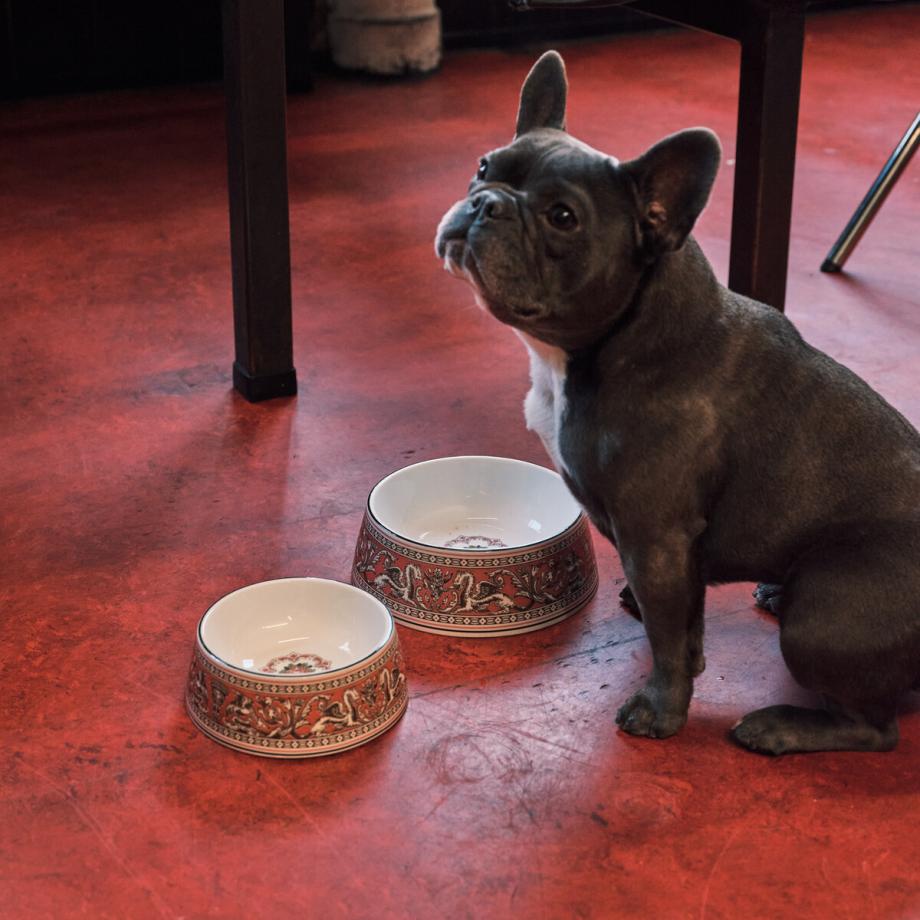Wedgwood Florentine Pet Bowl 17cm Fuchsia