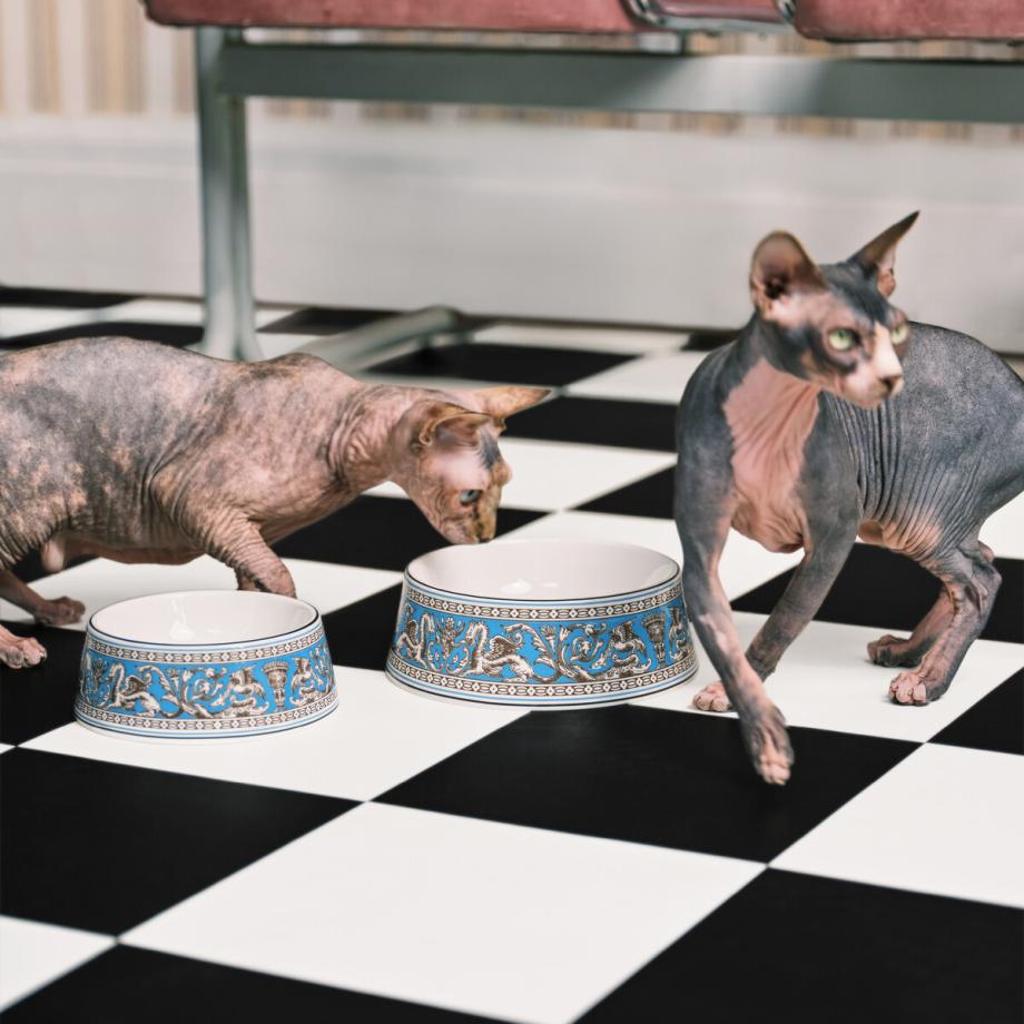 Florentine Turquoise Pet Bowl 17cm