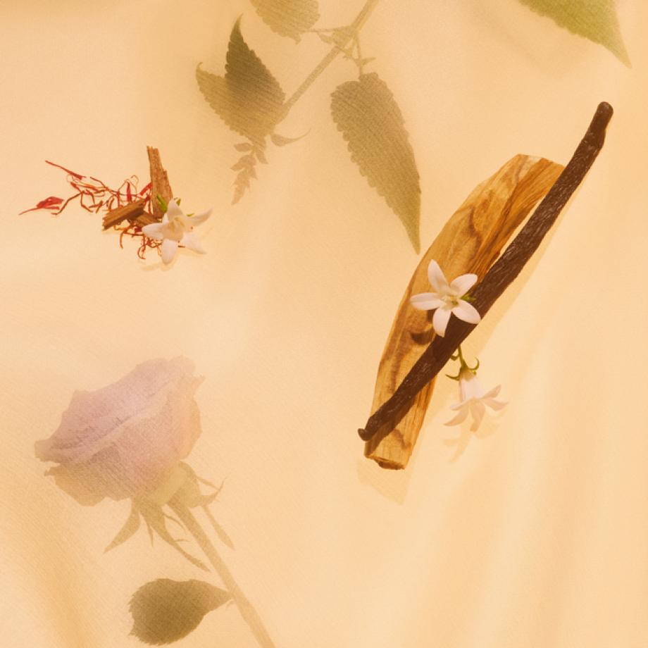 Bacchus Scented Candle Ardent